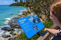 Noosa, Aussie Animals & Glass House Mountains from Brisbane