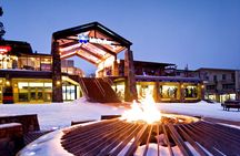 Mount Buller Sightseeing Tour 