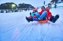 Mount Buller Sightseeing Tour 