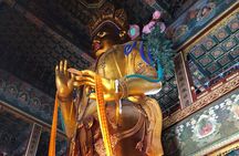 Summer Palace, Hutong Rickshaw, Lama and Confucius Temple Tour 