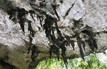  Beyond Krabi Rainforest , No Crowds, Customizable Full Day Tour 