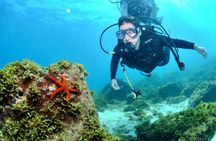 Scuba Diving in Fujairah with Private Transfers