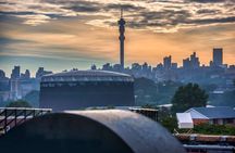 Private Guided Walking Tour in Johannesburg