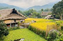 1 Day Trekking Tour in Ha Giang with Local Experts