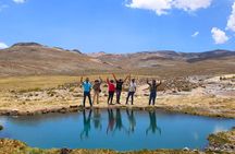 Salinas and Aguada Blanca Reserve Tour from Arequipa