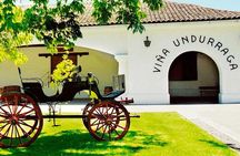 Private Winery Undurraga from Santiago