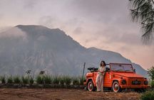 Highlight Ubud Tour in Classic Vintage Volkswagen