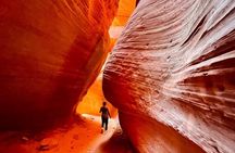  Slot Canyon Tour & Sandboarding UTV Adventure