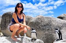MUST DO: Boulders Beach & Cape Point Full Day Tour #1 Rated
