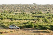 3 Day Essential 4x4 Safari: Manyara, Tarangire & Ngorongoro