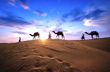 Special Private Arabic Setup with Desert safari experience.