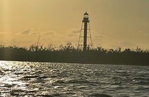 Private Dolphin & Sightseeing Boat Day Tour