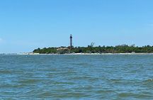 Private Dolphin & Sightseeing Boat Day Tour