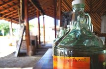 Tour Los Caminos del Mezcal Café and Pedal Loom Factory