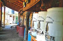 Tour Los Caminos del Mezcal Café and Pedal Loom Factory