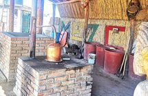 Tour Los Caminos del Mezcal Café and Pedal Loom Factory