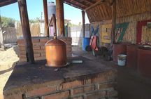 Tour Los Caminos del Mezcal Café and Pedal Loom Factory