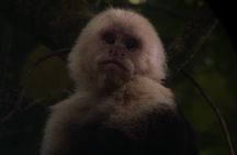 Monteverde semi-private guided tour