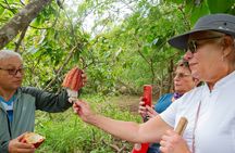Churute Mangrove Ecological Reserve and Cocoa Farm