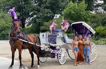 OFFICIAL NYC Central Park Horse Carriage Rides 