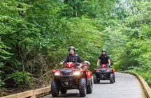 Combo : Cable Car Ride & Sky Bridge And ATV Ride To Waterfalls
