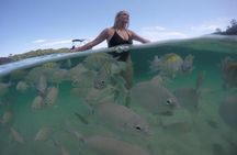 Full-Day Speedboat Tour in Angra and Islands with pick-up in Rio 