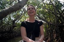 Cartagena : Boquilla and Mangroves Canue Ride (Also for Cruisers)