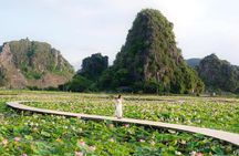Ninh Binh 1 day trip with Hoa Lu- Tam Coc boat & Cycling village 