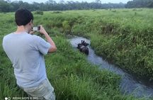 Jungle Tower Night Stay in Chitwan National Park 2 Nights 3 Days 