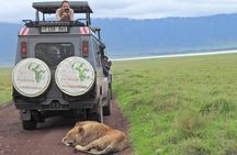 Full-Day Trip to Ngorongoro Crater from Arusha Town 