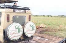 3 Days Small Group Safari to Serengeti NP and Ngorongoro Crater Tour in Tanzania