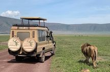 3 Days Small Group Safari to Serengeti NP and Ngorongoro Crater Tour in Tanzania