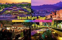 Seoul Night Tour (Gwangjang Market, Royal Palace and Naksan Park)