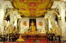 Full day Kandy City Tour by Tuk Tuk