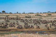Wonders of Nature: 5-Day Tanzania Wildlife Safari Adventure