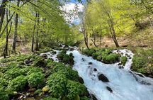Durmitor - Black Lake & Tara River Canyon - North Montenegro tour
