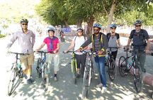 Panorama Bike Tour