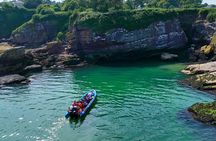 Dunmore East Sea Safari to Hook Lighthouse