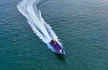 Dunmore East Sea Safari to Hook Lighthouse