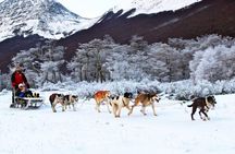 Ushuaia: Full day Snow: Sledding with Huskies Snowmobile 4x4 