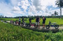 Half-Day Electric Fat Bike Tour of Ubud 