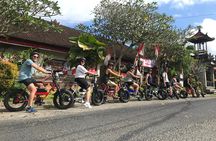 Half-Day Electric Fat Bike Tour of Ubud 