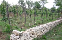 Wine Tour by Winemaker