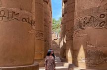 PRIVATE VIP Full Day Tour to Luxor Kings With Lunch from Hurghada