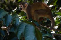 5 Days Cuyabeno Amazon Experience at Waita Lodge