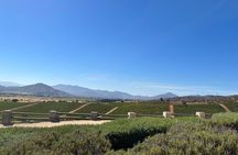 Wine Tasting Tour to Casablanca Valley (Wine Region)