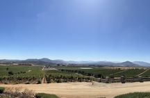 Wine Tasting Tour to Casablanca Valley (Wine Region)