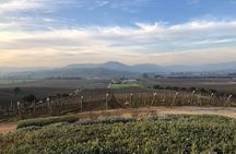 Wine Tasting Tour to Casablanca Valley (Wine Region)
