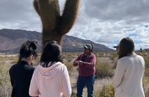 Cachi and Los Cardones National Park from Salta