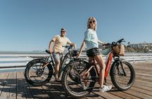 Private Electric Bike tour of Fort Lauderdale. min 2 person $300